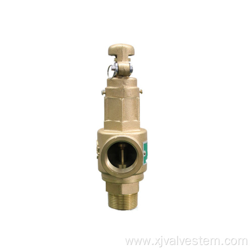 Spring type safety relief valve